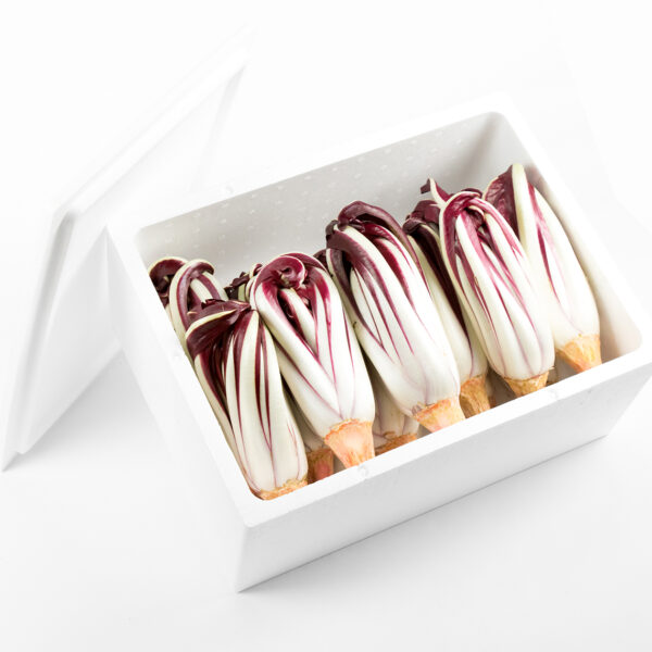 Box Radicchio di Treviso