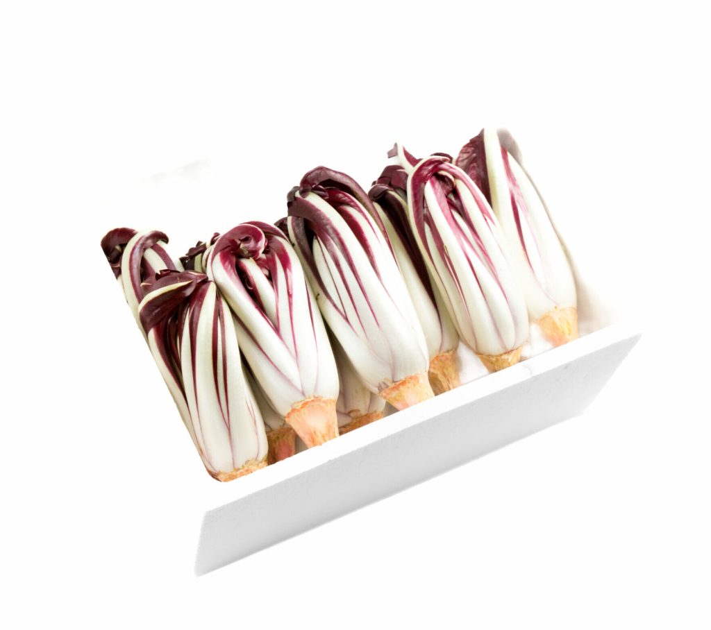 box radicchio