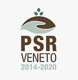 PSR